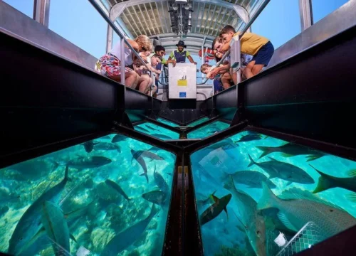 Sharm El Sheikh barca con fondo di vetro escursione