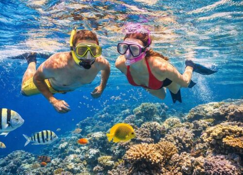 Snorkeling al Parco Nazionale di Ras Mohammed in auto